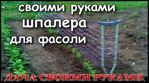 Шпалера своими руками для фасоли, огурцов | как сделать.