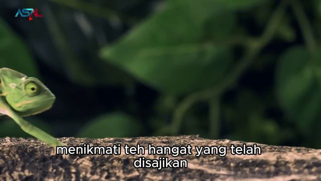Aku Menyesal Dijodohkan Dengan Gadis Bercadar, Malam Pertama Langsung Dibuat Syok, Ternyata