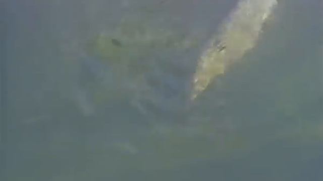 Emelya und der Zauberfisch (1992) смотреть онлайн