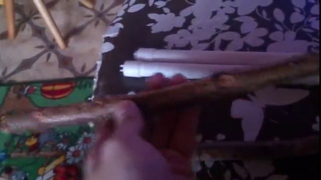 Жердочки для попугая корелла смотреть онлайн