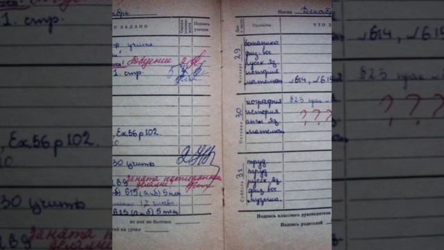 Жизнь на коляске