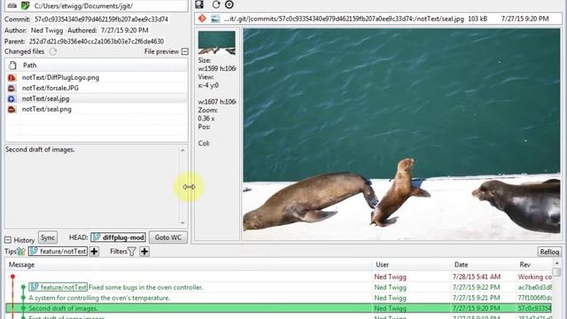 Git and SVN for DiffPlug In Action смотреть онлайн