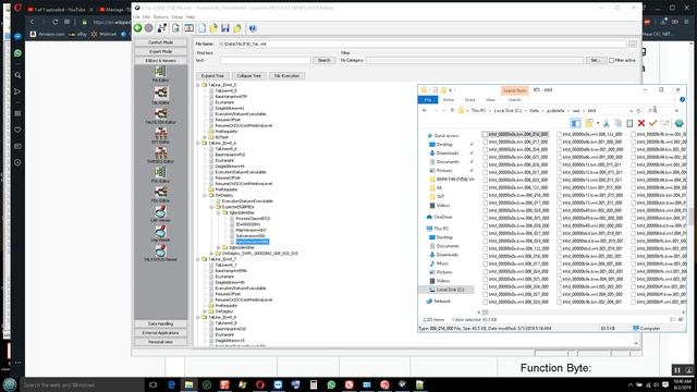 BMW Esys SVT Actual Installation Table And SVT Reference Installation Table And SGBMid 2019-08-02