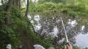 Рыбалка на поплавок на микроречке, или ловля рыбы как в детстве. Калужская область, июнь 2020