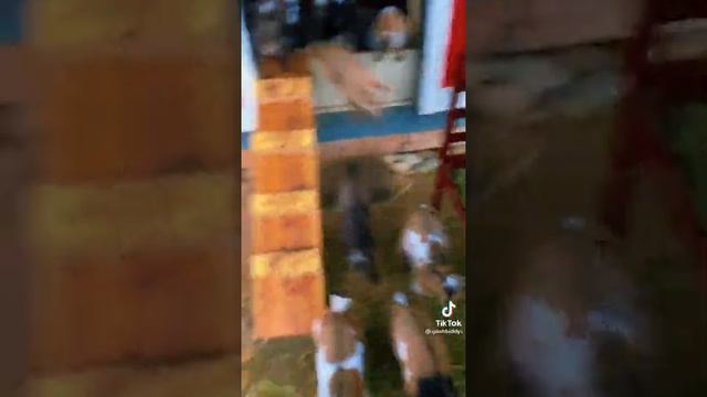 Ферма.Маленькие козлятки.Трудовые будни. смотреть онлайн