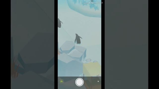 'Penguin's isle' Gentoo Penguin taking spa 젠투펭귄 노천탕 즐기는 모습 смотреть онлайн