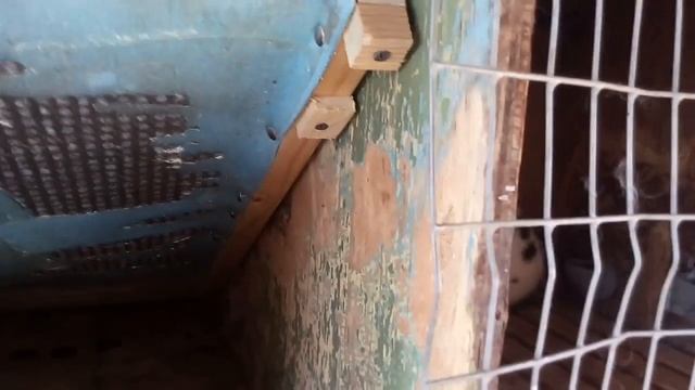 Тёплый пол в маточнике для кроликов на улице своими руками. смотреть онлайн