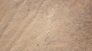 Охота в Казахстане