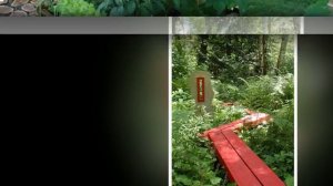 50 идей красивых садовых ДОРОЖЕК на ДАЧЕ