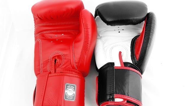 Twins BGVL-3 Boxing Gloves 14oz vs Fairtex BGV1 Boxing Gloves 16oz - Side By Side Comparison смотреть онлайн