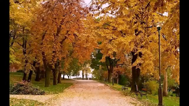 Осень Алексин смотреть онлайн