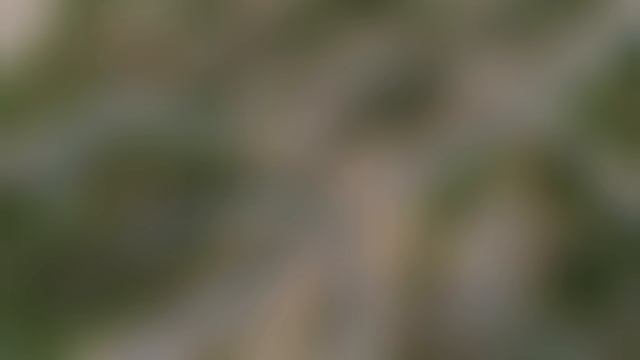 Родельбан Роза Хутор, Сочи 2022 смотреть онлайн