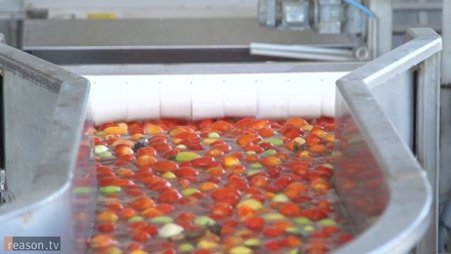 I, Tomato: Morning Star's Radical Approach to Management смотреть онлайн