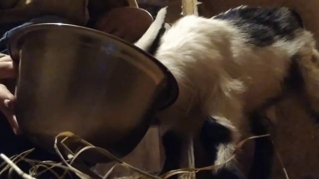 обзор хозяйства.