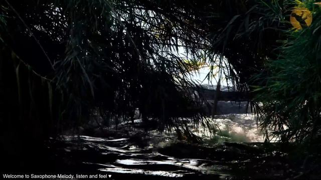 Beautiful Romantic Saxophone Love Songs Of All Time 🎷 Greatest Hits Love Songs Ever смотреть онлайн