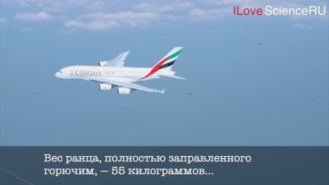 I Love Science RU / Пилоты на реактивных ранцах полетали над Дубаем вместе с Airbus A380 смотреть онлайн