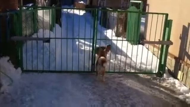 Кан, Нами и Монтаро смотреть онлайн