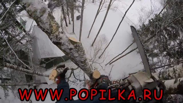 Удаление деревьев зимой на даче, спилить дерево Сергиев Посад смотреть онлайн