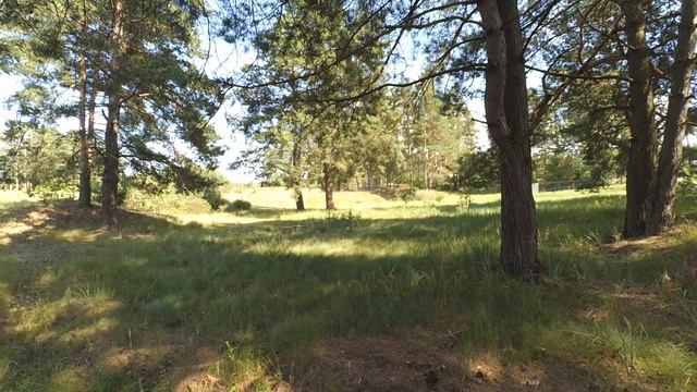 Таймлапс возле поселка Красный мыс