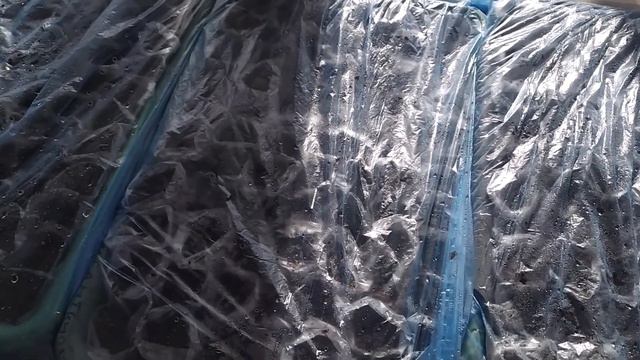 ПЕРВЫЕ ВСХОДЫ МОЕЙ РАССАДЫ. ФЕВРАЛЬ 2021 смотреть онлайн