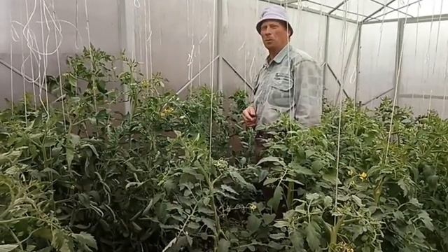 Размололи зерно в п.Тумашово--заезжали в лес. смотреть онлайн