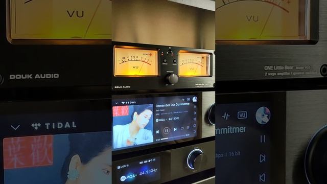 EVERSOLO DMP-A6串流播放機 + McIntosh ma252 擴大機+ Fyne F1-5 喇叭 смотреть онлайн