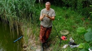 Ловля Огромного Толстолоба на овощи. Секретная насадка на карпа и амура.