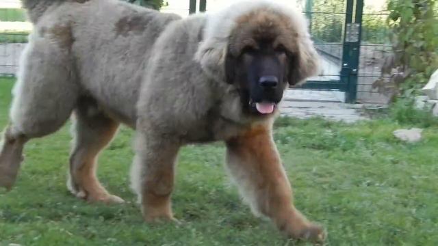 DSCN9734 смотреть онлайн