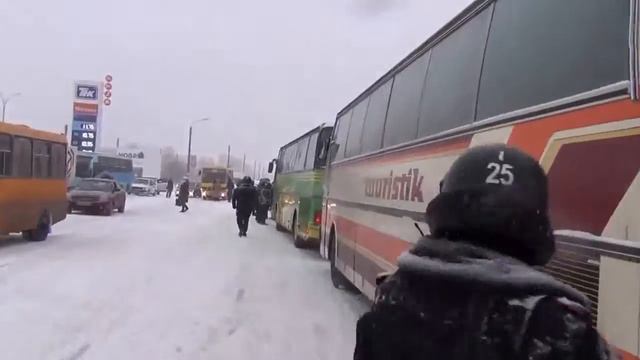 Тигр прорывается на Майдан смотреть онлайн