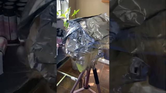 Coloring hair from 1b to Honey Blonde ? with platinum highlights | Using BlondeMe Bleach смотреть онлайн