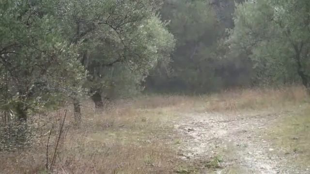 Недотрога сл В Акела муз А Долгов исп А Долгов смотреть онлайн