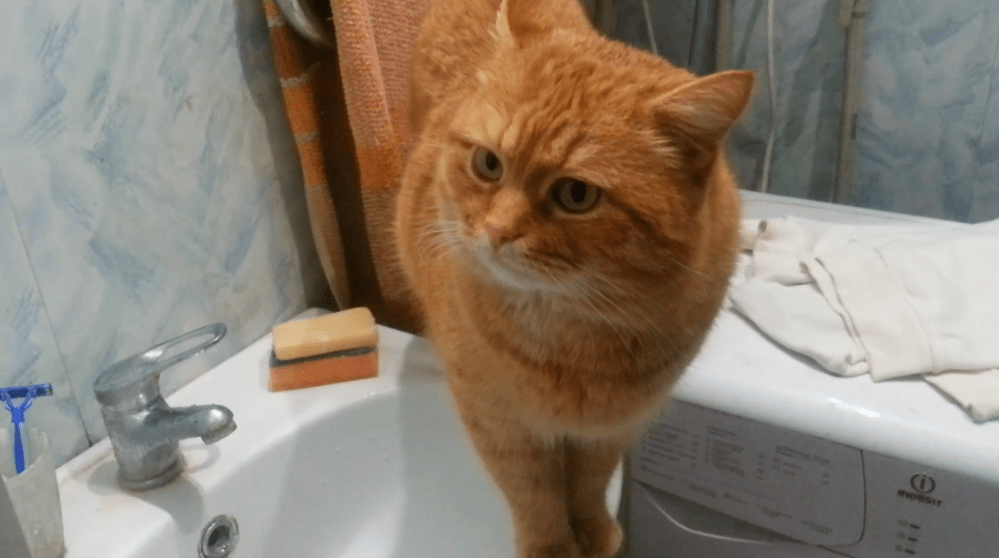 Жажда. Часть 2 смотреть онлайн