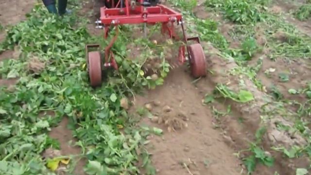 КАРТОФЕЛЕКОПАЛКА КФТ-2 К МИНИ-ТРАКТОРУ БЕЛАРУС-132Н смотреть онлайн