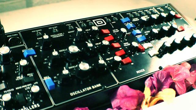 Ambient Behringer Model D Analog Synthesizer Jam Session (Beautiful Melodies with Valhalla Reverb) смотреть онлайн