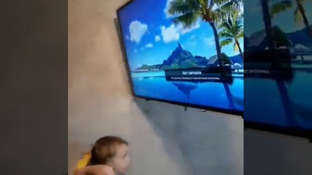 Защитный экран для телевизора смотреть онлайн