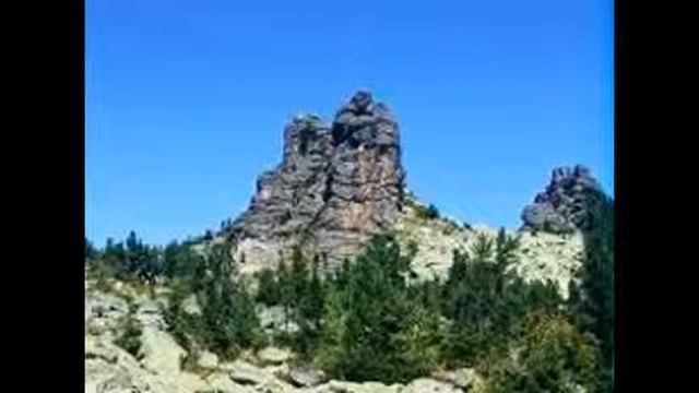 леса кузбасса смотреть онлайн