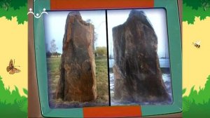 День в Шишкином Лесу. Профессии. Репортер