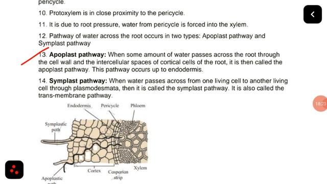 12th Biology | plant water relation Exercise | chapter 6 | Hsc board смотреть онлайн