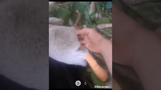 отобрали деньги смотреть онлайн