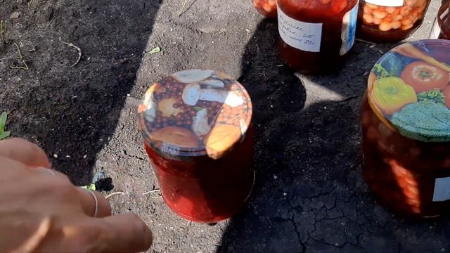 закрутила варенья не отходя от грядки смотреть онлайн