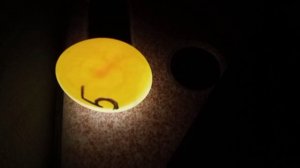 Разведение попугаев. Неразлучники размножаются, выводят птенцов./ январь 2023