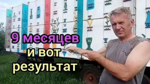 Пчелопавильон изготовленный своими руками.
