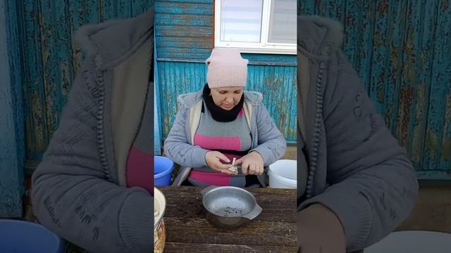 Как очистить зеленушки от песка//перебираю грибочки смотреть онлайн