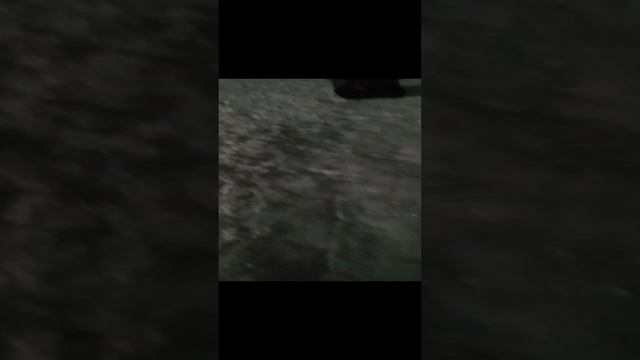 прикол смотреть онлайн