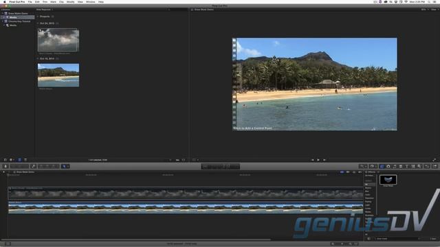 Draw Mask Feature In Final Cut Pro X