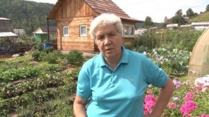 Голова садовая - Всё о розах