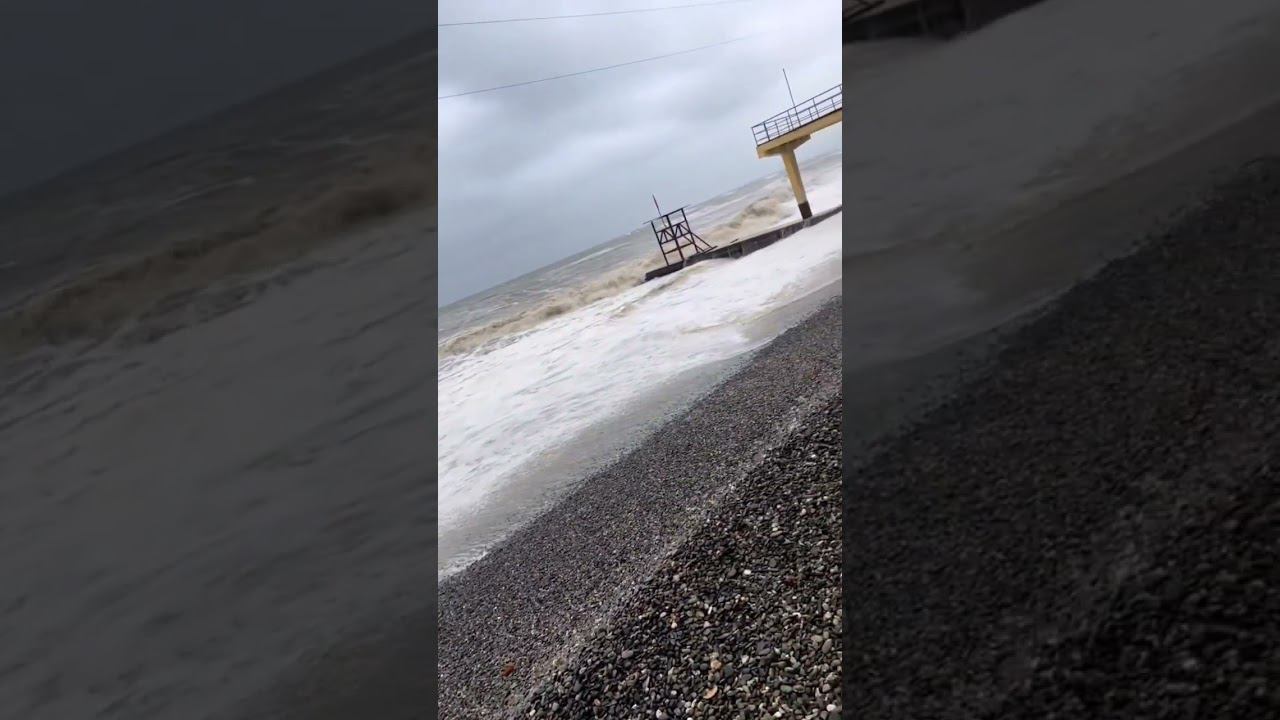 27.11.22 г.Погода Лазаревское #shorts #лазаревское2022 #погодалазаревское #погодасочи #сочифорния смотреть онлайн