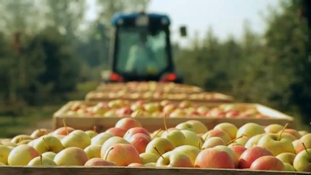 Kampania reklamowa Biedronki: Spot wizerunkowy [marketing-news.pl] смотреть онлайн