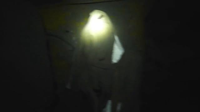 Проходка !!! смотреть онлайн