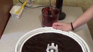 Пастила из черники.  Пастила в сушилке. Пастила в дегидраторе.